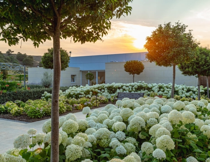 Отель «Рассветы Закаты» Песчаное