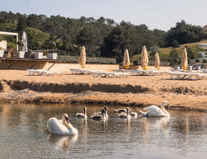 Отель «Рассветы Закаты» Песчаное