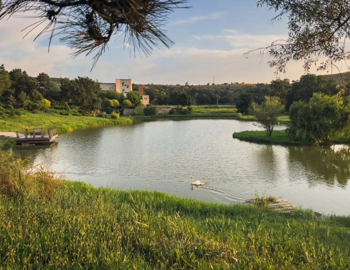 Отель «Рассветы Закаты» Песчаное