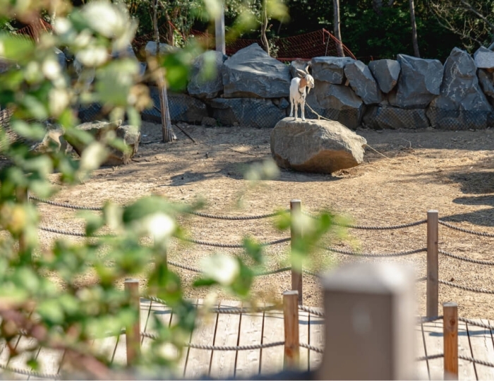 Услуги для детей - Отель «Рассветы Закаты» Песчаное